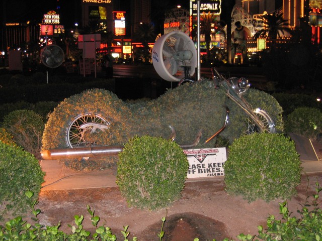 Original image