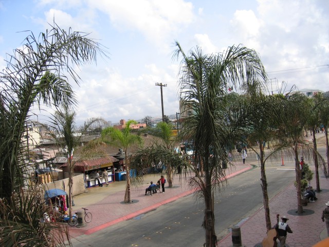 Original image